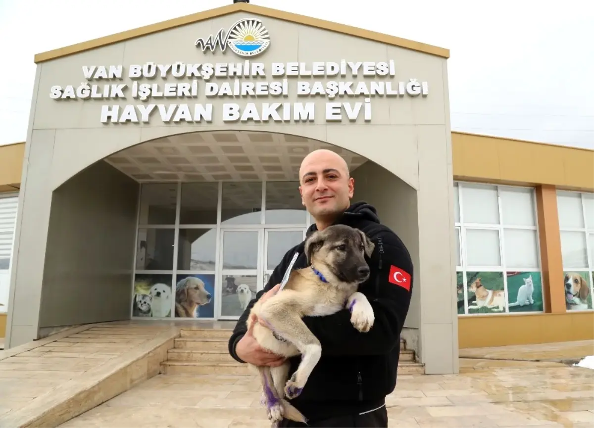 Donan Gölde Buzları Kırarak Kurtardığı Yavru Köpeği Sahiplendi