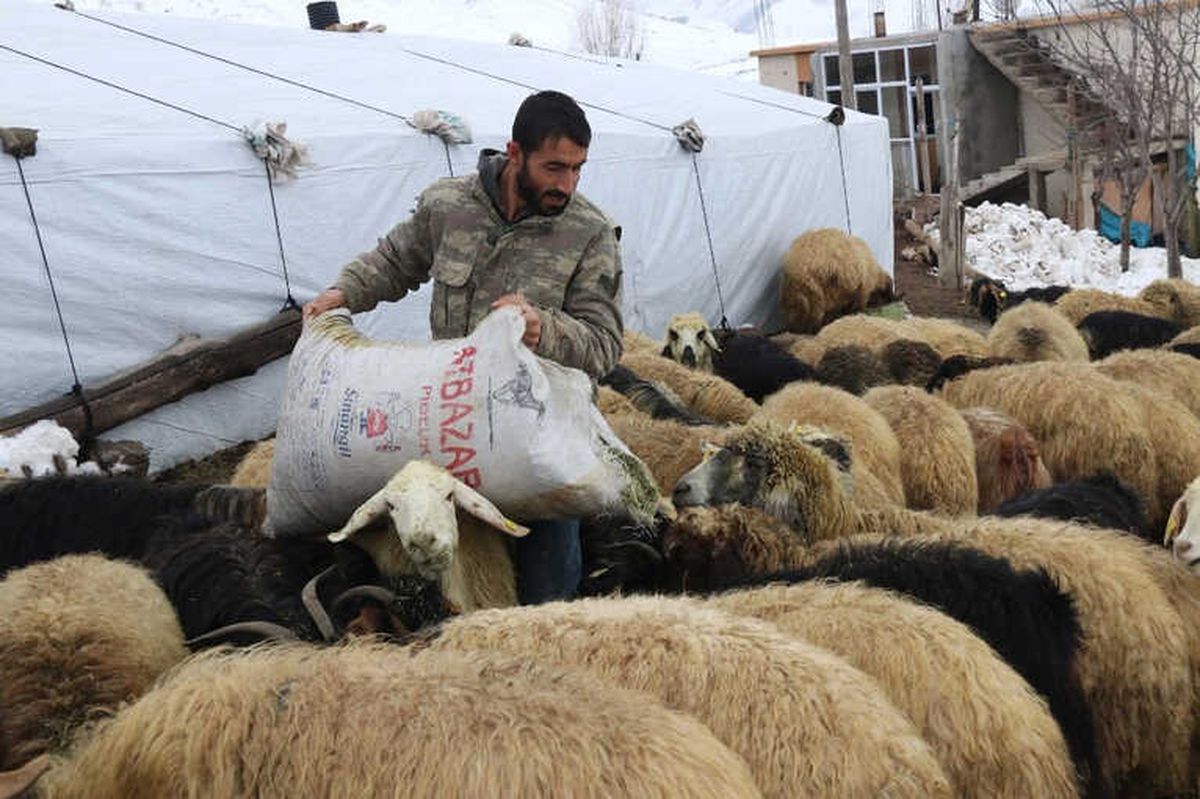 Hayvancılık Yapanların Kış Çilesi