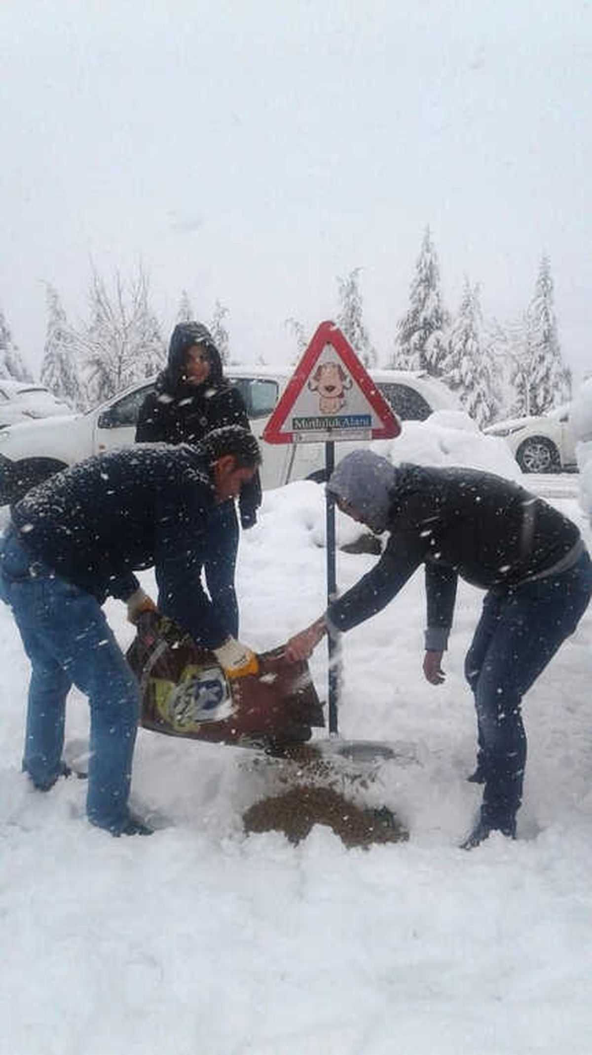 İzmit\'te Sokak Hayvanları Unutulmuyor