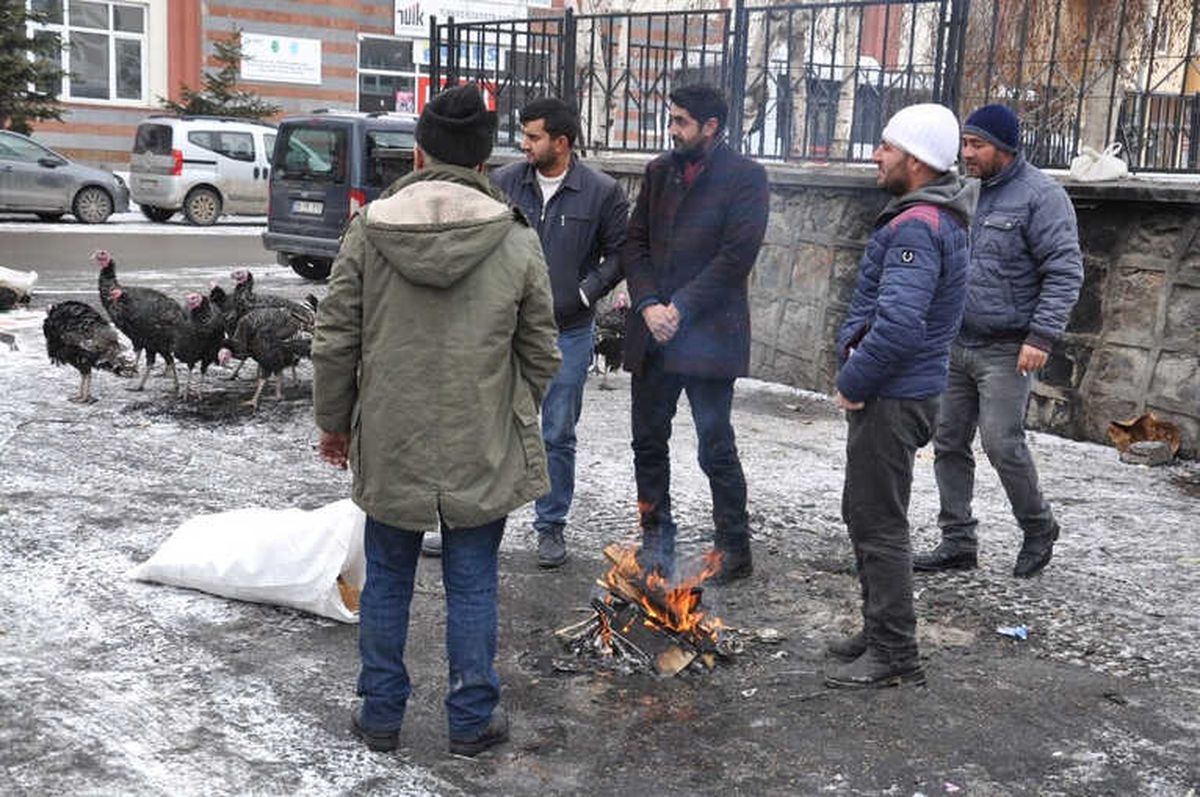 Kars\'ta Yılbaşı Hindileri Pazara İndi