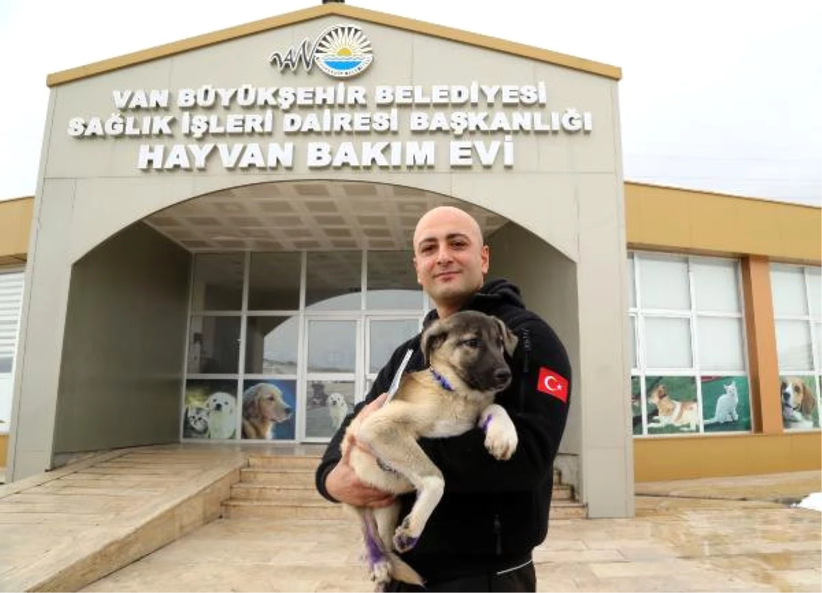 Polis Memuru, Kurtardığı Köpeğe \'Buz\' İsmini Verip, Sahiplendi