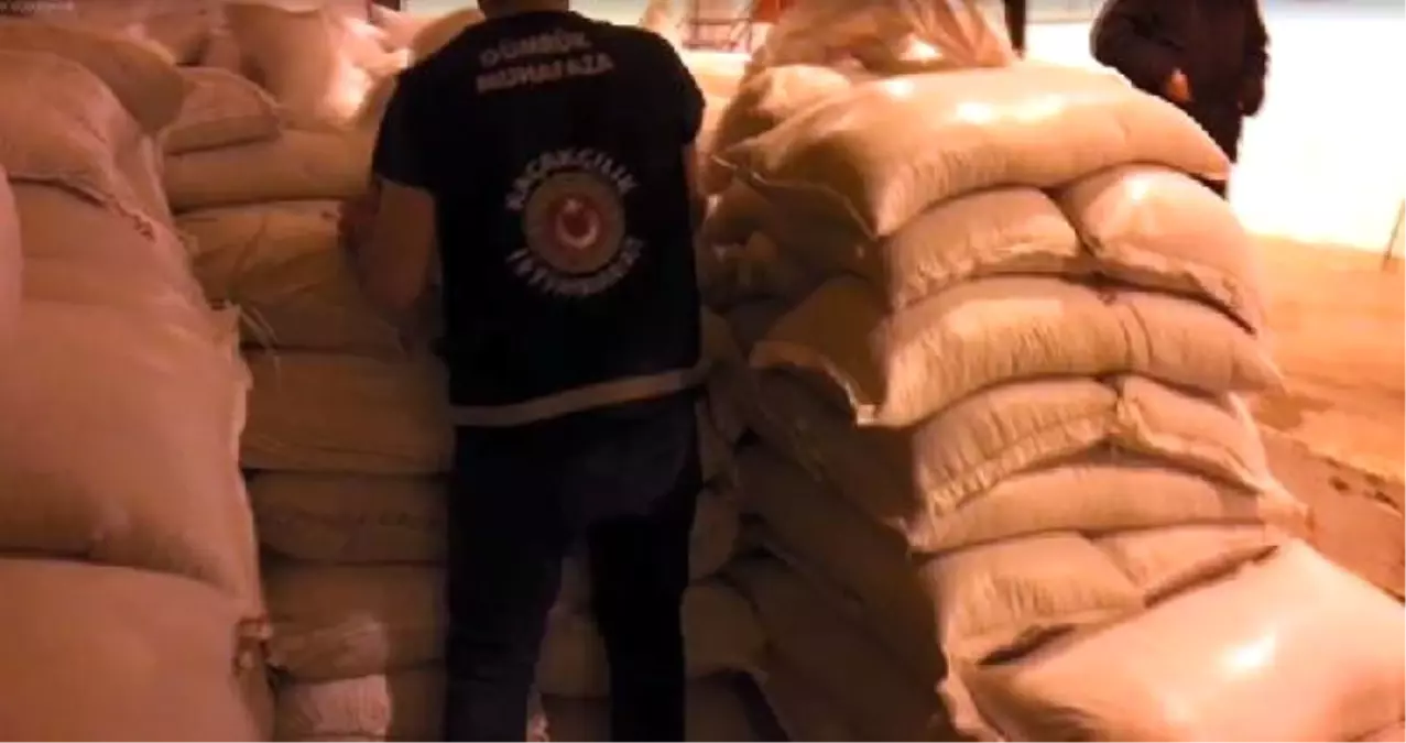 Sınır Kapısında Soya Fasulyesi Yüklü Tır\'da 1,5 Ton Esrar Ele Geçirildi