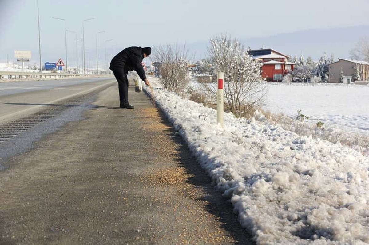Sungurlu Belediyesi Sokak Hayvanlarını Unutmadı