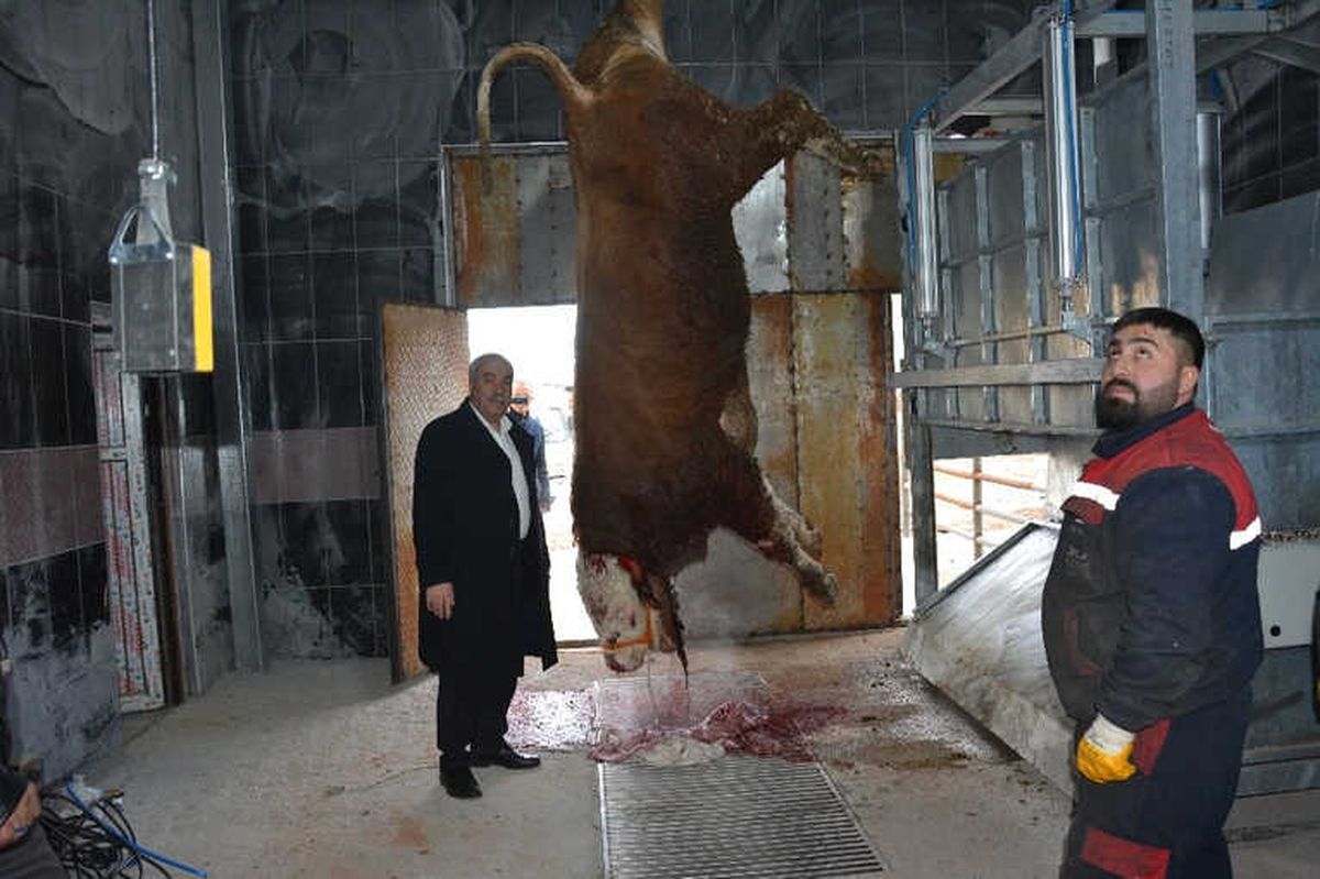 Tercan Modern Kesimhaneye Kavuştu