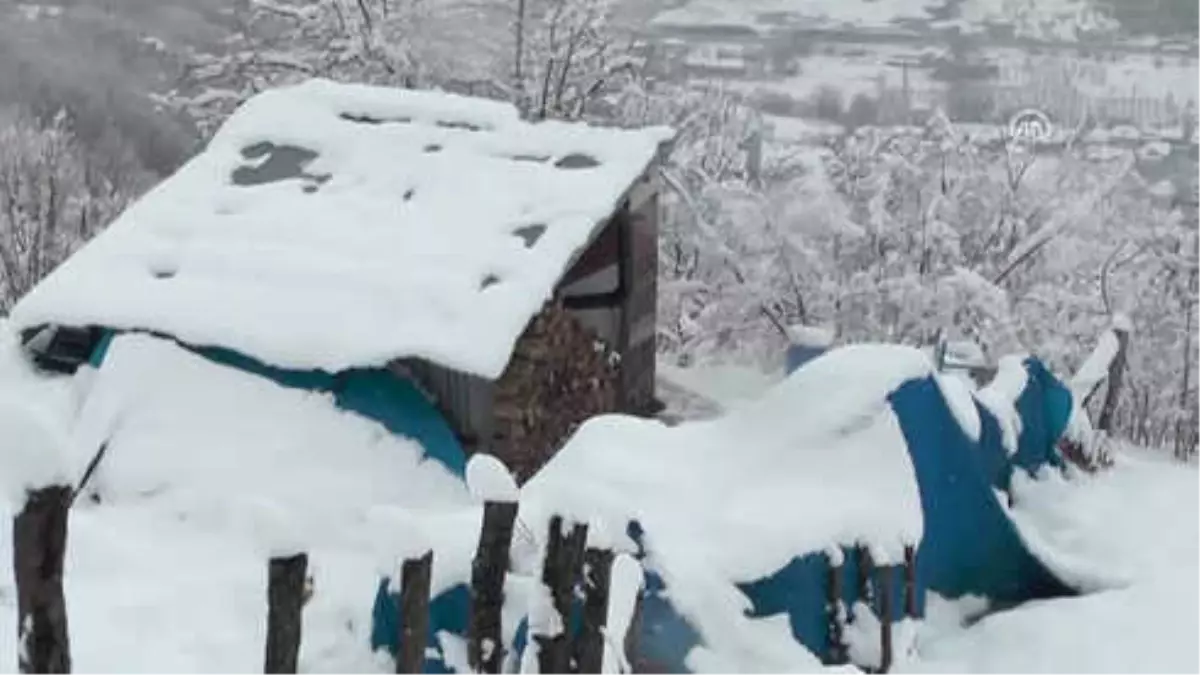 Yaşlı Kardeşler Barakada Yaşam Mücadelesi Veriyor