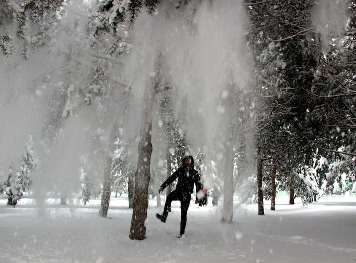 Erzurum\'da Kar Yağışı, Buzlanma ve Tipi Etkili Oluyor