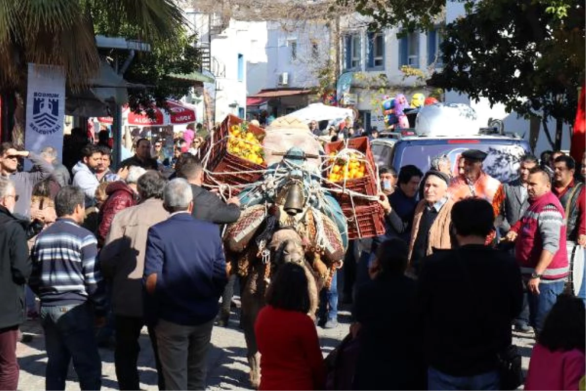 Kocadon: Mandalina Bahçeleri Kat Karşılığı Müteahhitlere Veriliyor