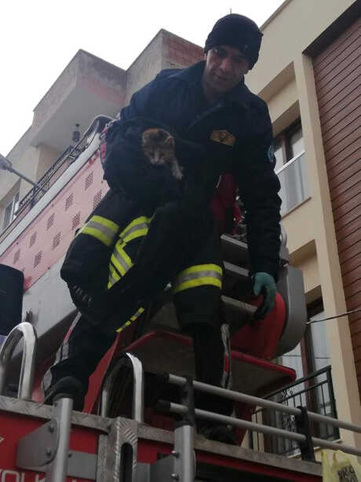 Müzenin Çatısında Mahsur Kalan Kediyi İtfaiye Kurtardı