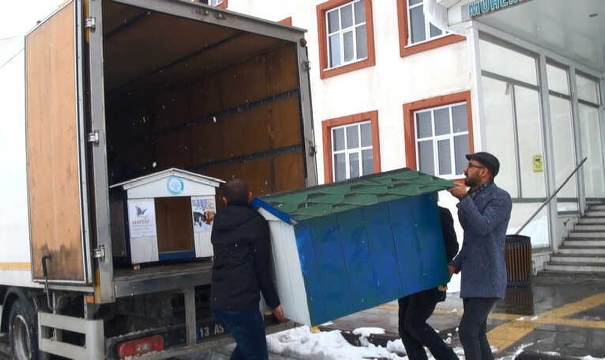 Üniversite Öğrencilerinden Sokak Hayvanlarına Sıcak Yuva