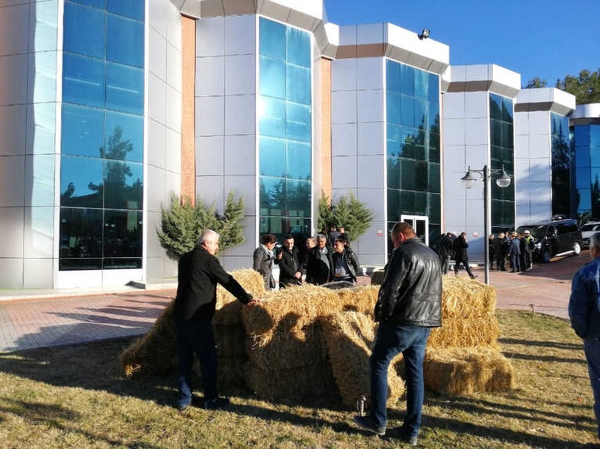 Üniversiteli Keçiler İlgi Odağı Oldu