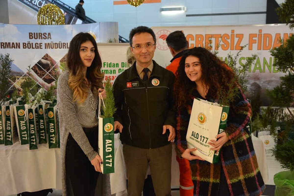 Yıl Başında Ağaç Kesme Fidan Dik