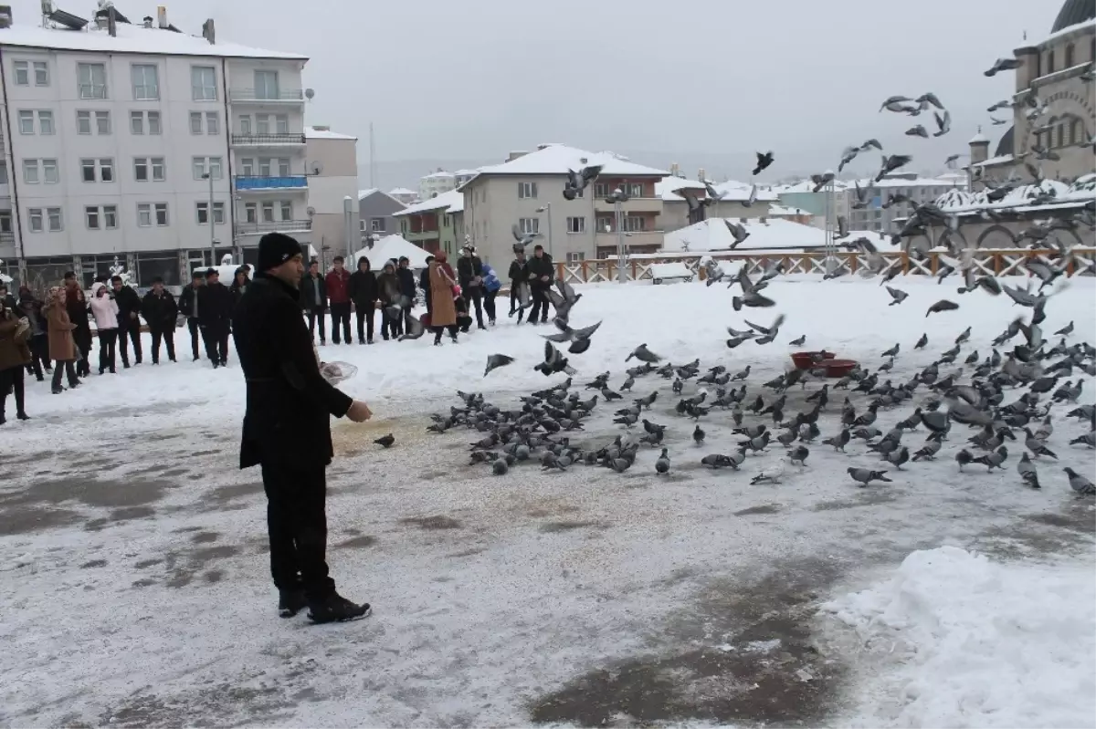 Akdağmadeni\'nde Öğrenciler Güvercinleri Besledi