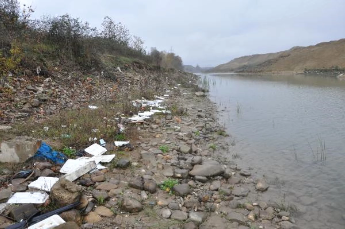 Doğaya Atılan Plastik Atıklar Her Yıl Artıyor