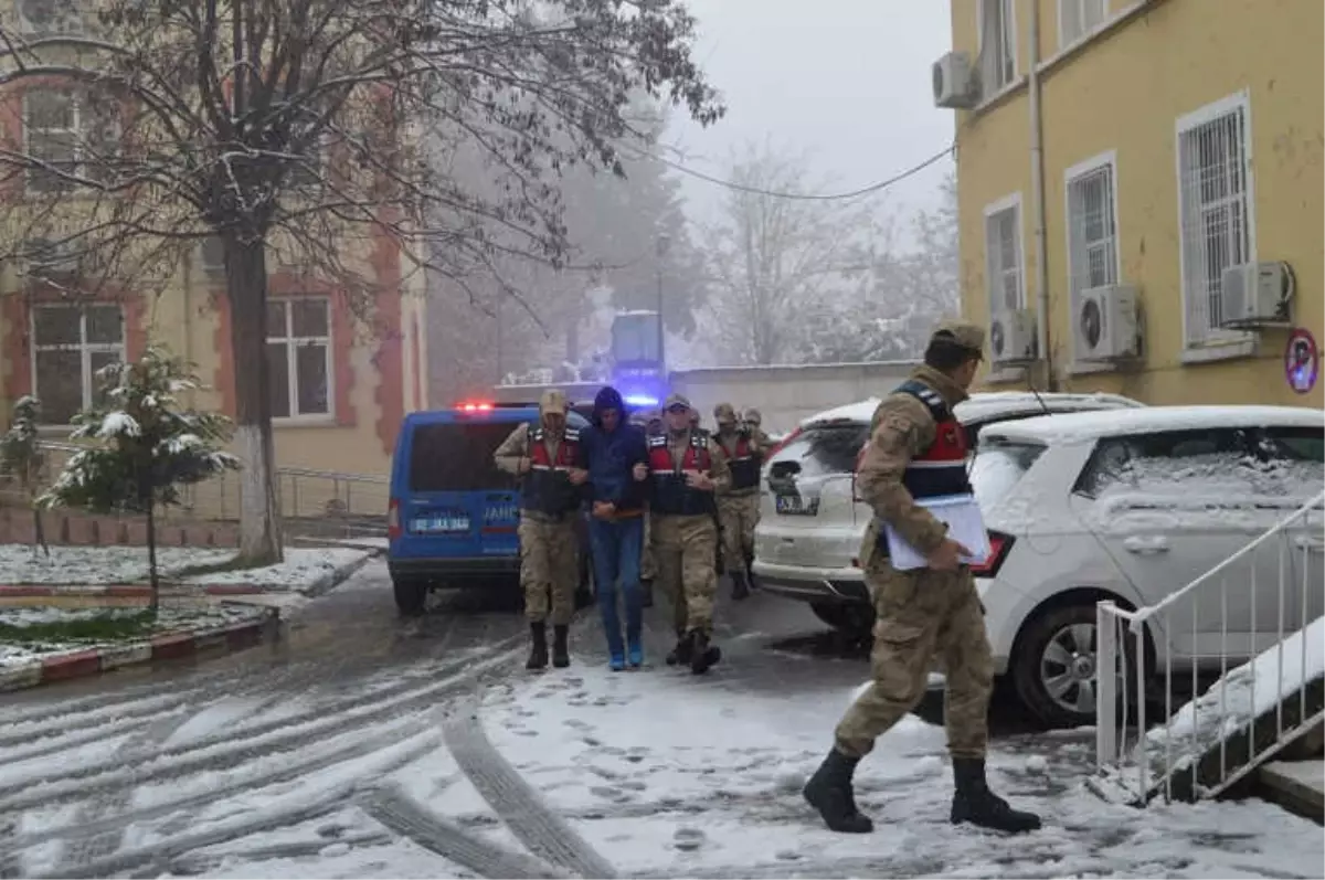Fıstık Hırsızları Olduğu İddia Edilen Şahıslar Yakalandı