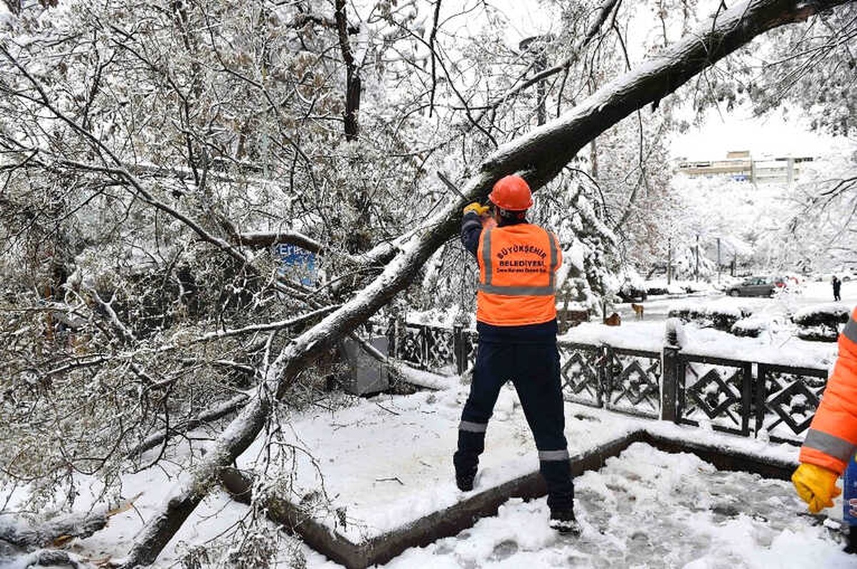 Kar Yağışı Sonrası Kırılan Ağaçlar Kaldırılıyor