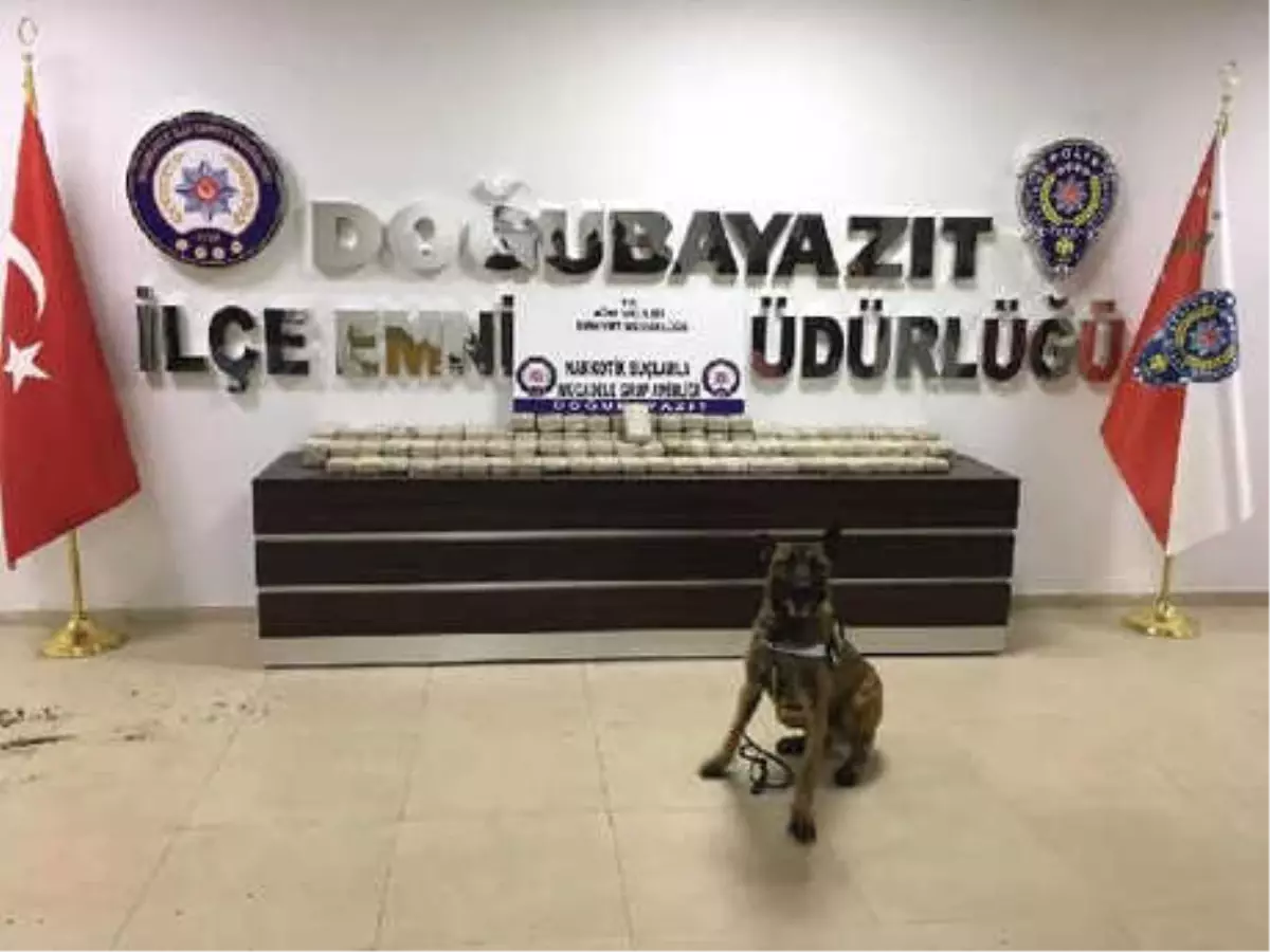 Narkotik Köpeği Ares\'in Zafer Pozu