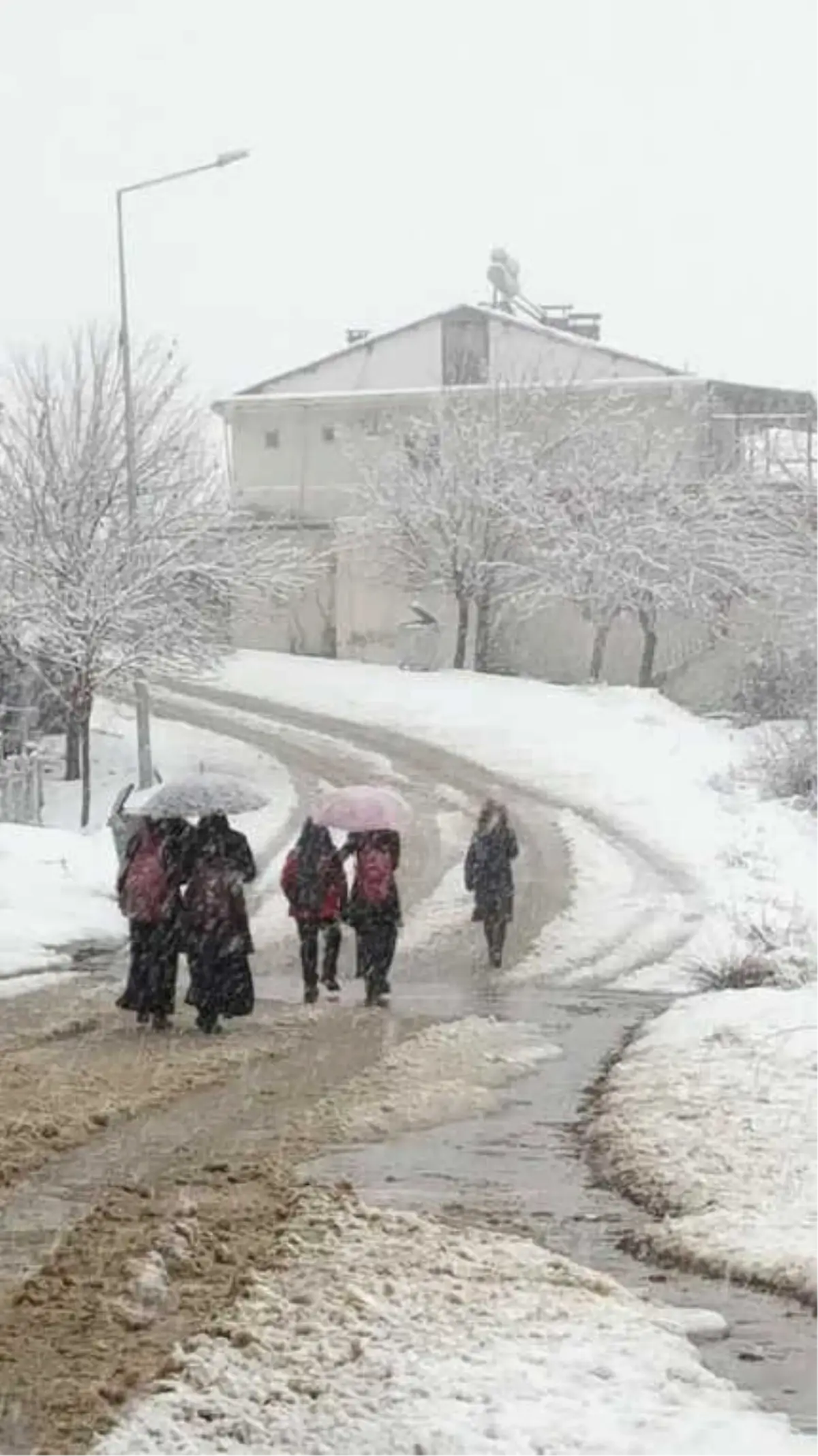 Sincik İlçesinde Okullar 1 Gün Tatil Edildi