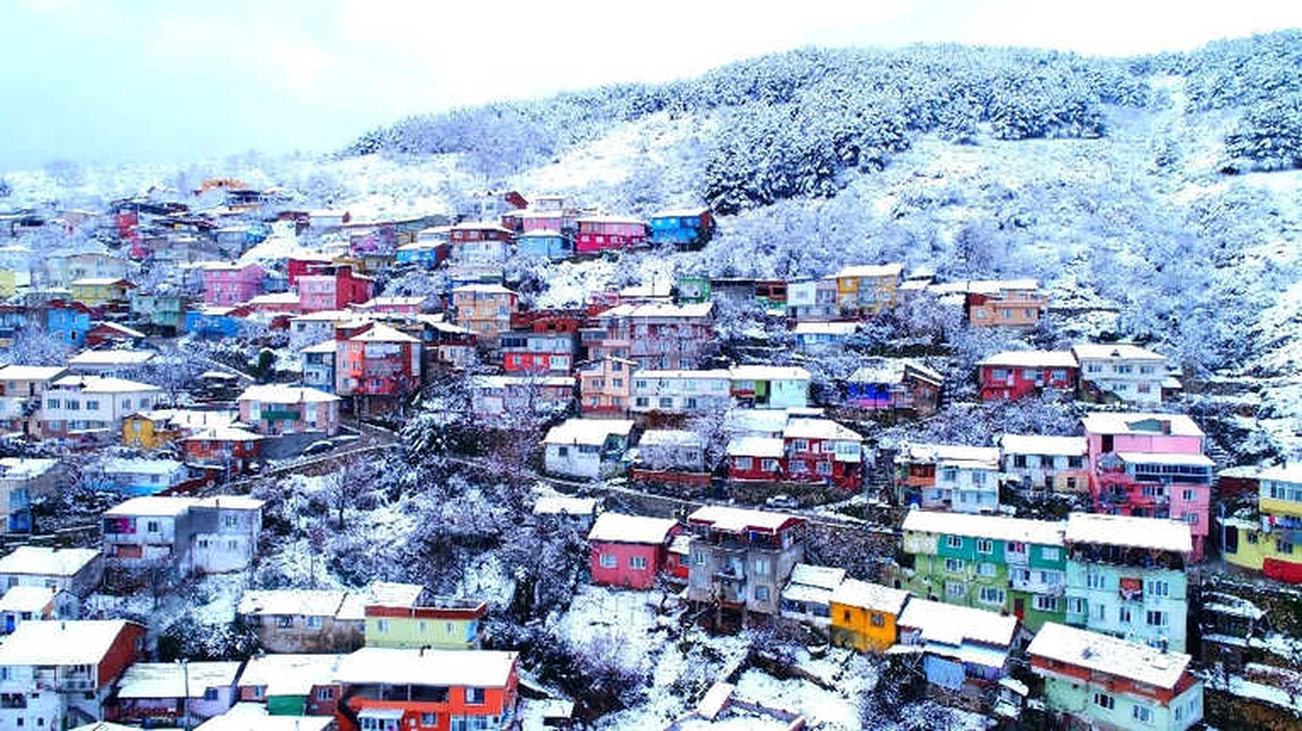 Uludağ\'ın Yamaçlarında Renk Cümbüşü