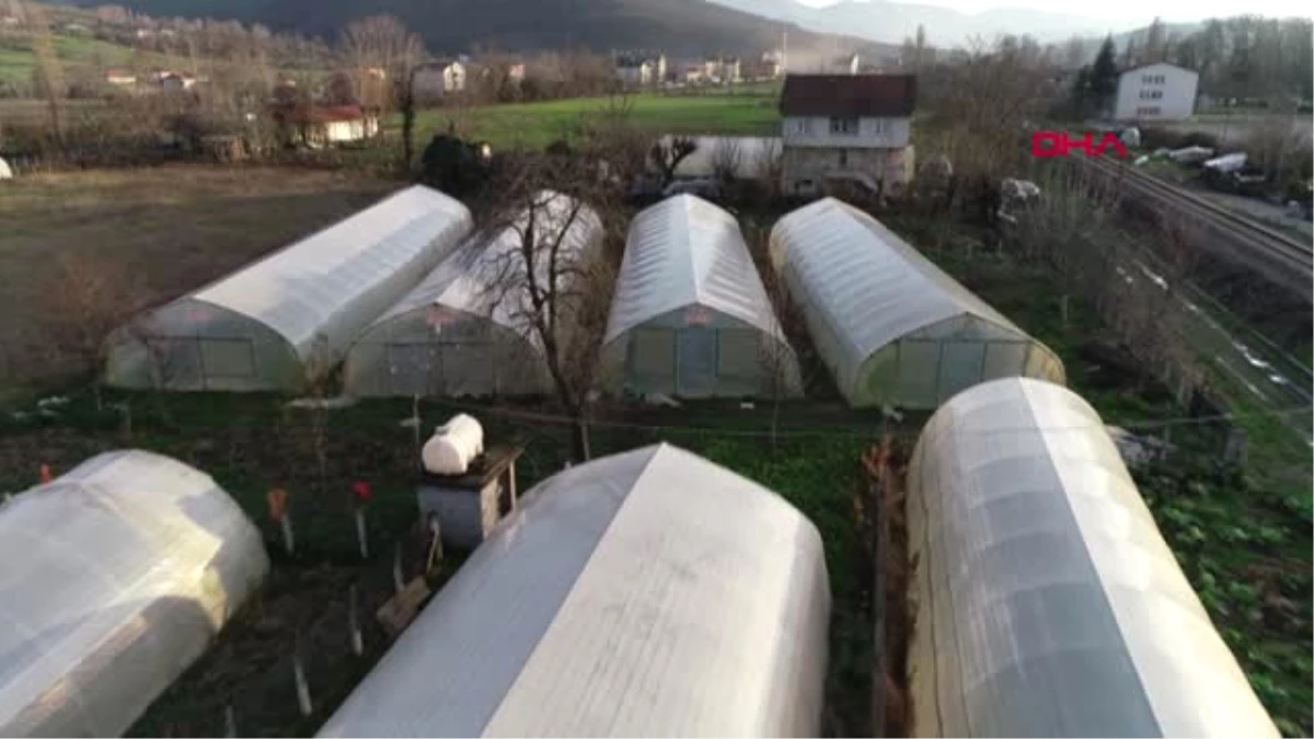 Zonguldak İş Yerini Kapatıp Köye Yerleşti, 1 Serayla Başladığı Çiftçilikte 11 Seraya Ulaştı