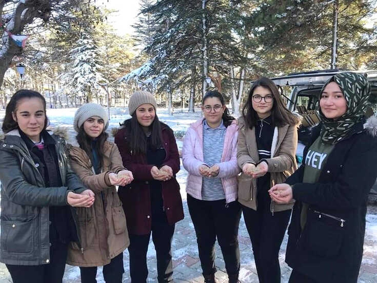 Bolvadin\'de Sokak Hayvanları İçin "Bir Avuç Mutluluk" Projesi Uygulandı