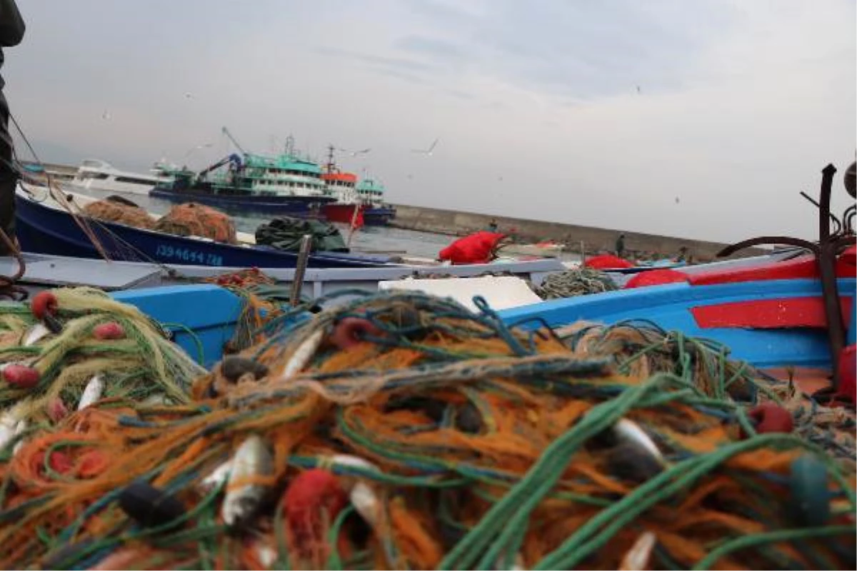 Doç. Dr. Kocabaş: Karadeniz\'de Artan Yunus Sayısı Balıkçılığı Tehdit Ediyor