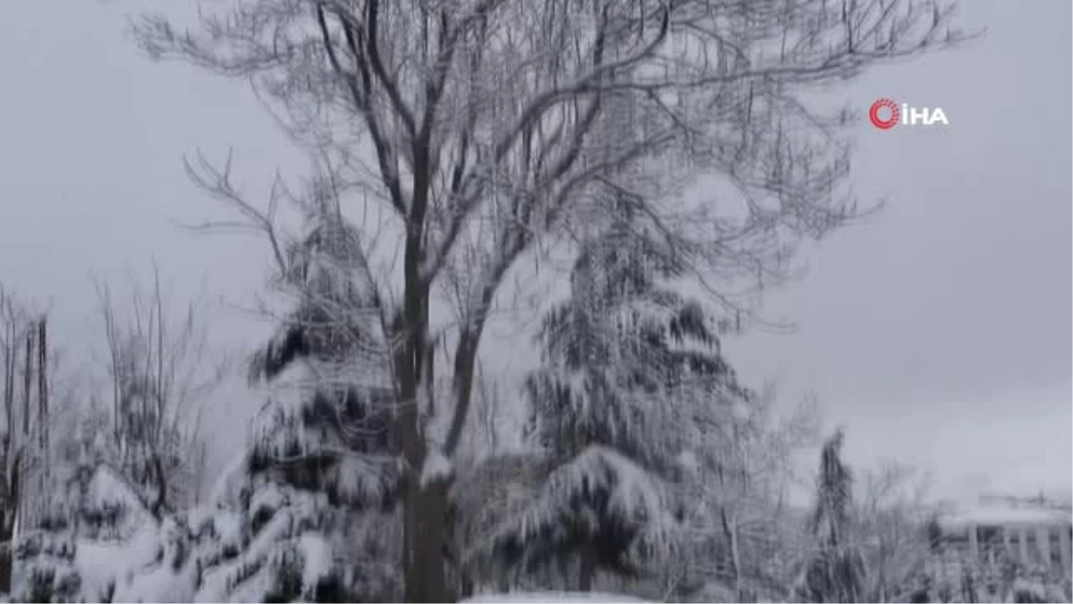 Elazığ\'da Kar Nedeniyle 92 Köy Yolu Ulaşıma Kapandı