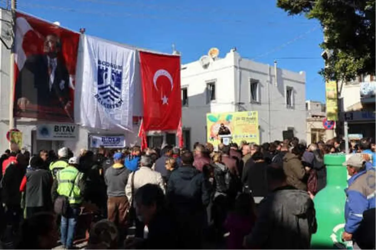 Festivalde, Dalından Mandalina Koparmanın Keyfini Çıkardılar