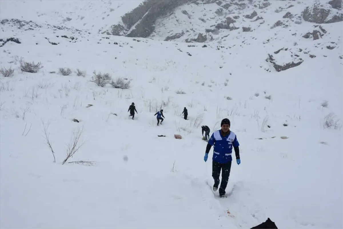 Hakkari\'de Sokak Hayvanlarına Yiyecek Bırakıldı