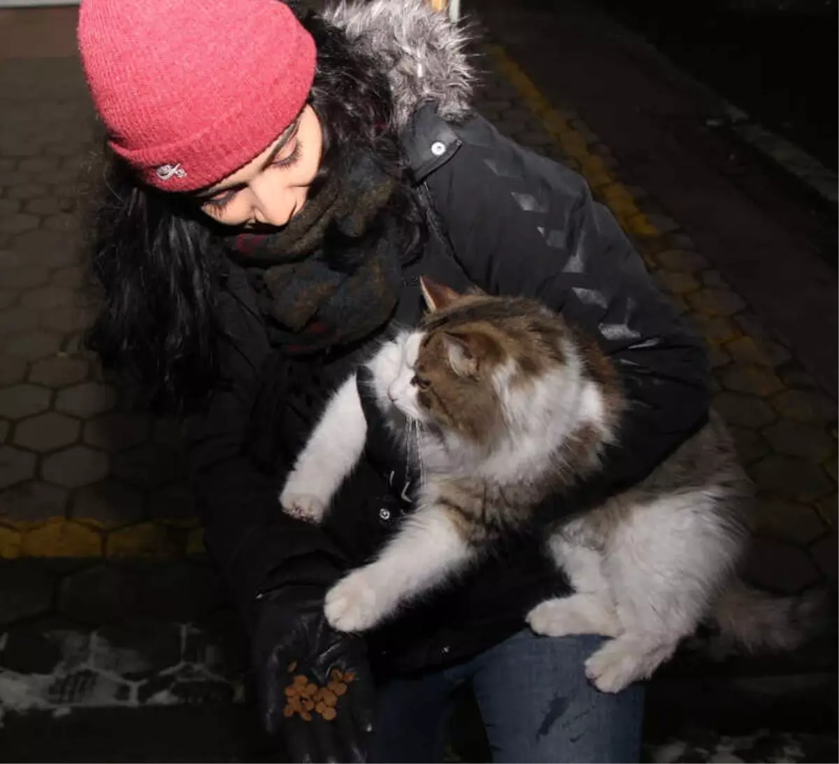 Herkes Yeni Yılı Kutlarken Onlar Sokak Hayvanlarını Unutmadı