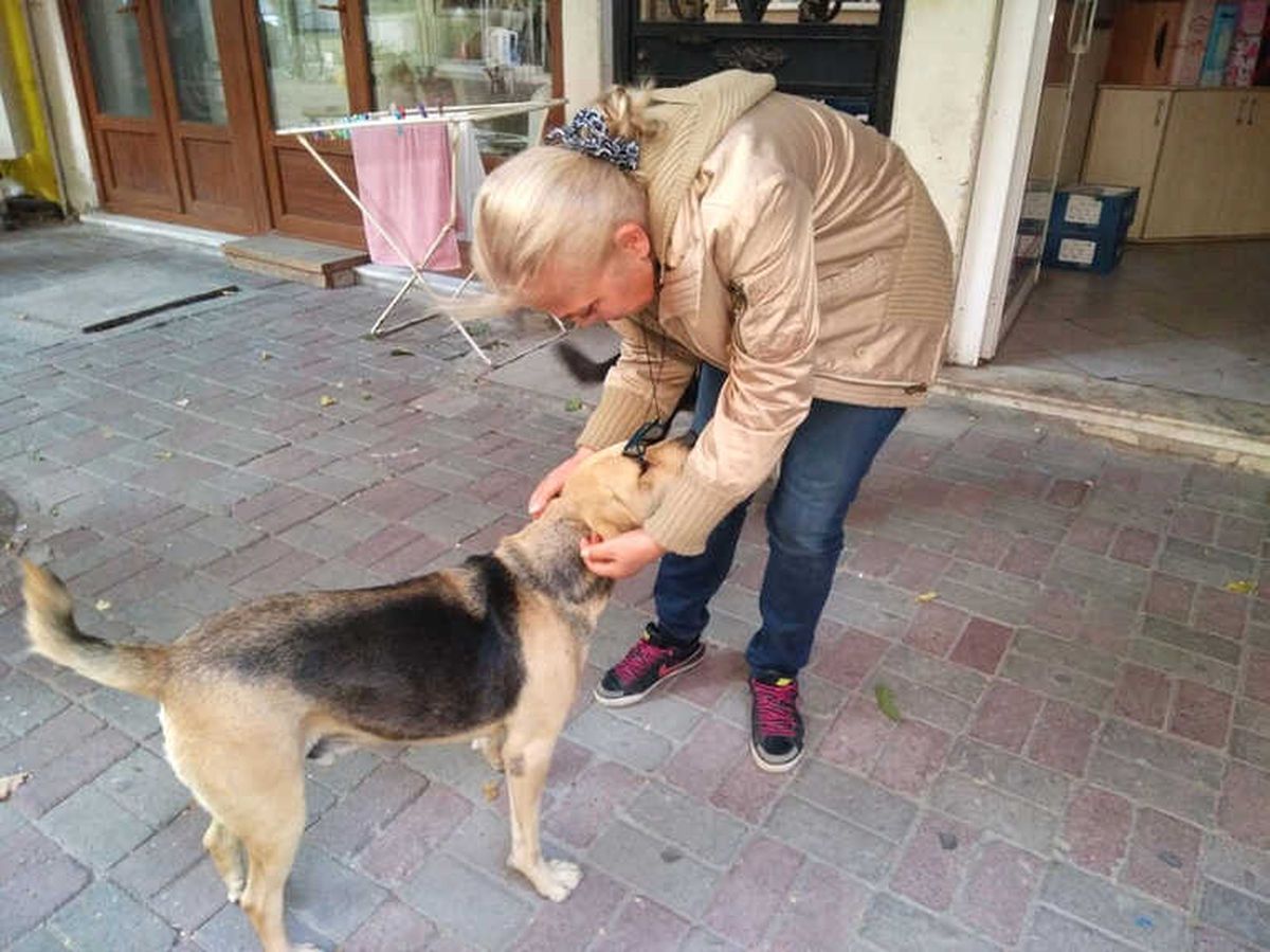 Otansev, "Karnı Doyurulan Köpek Çevreye Zarar Vermez"