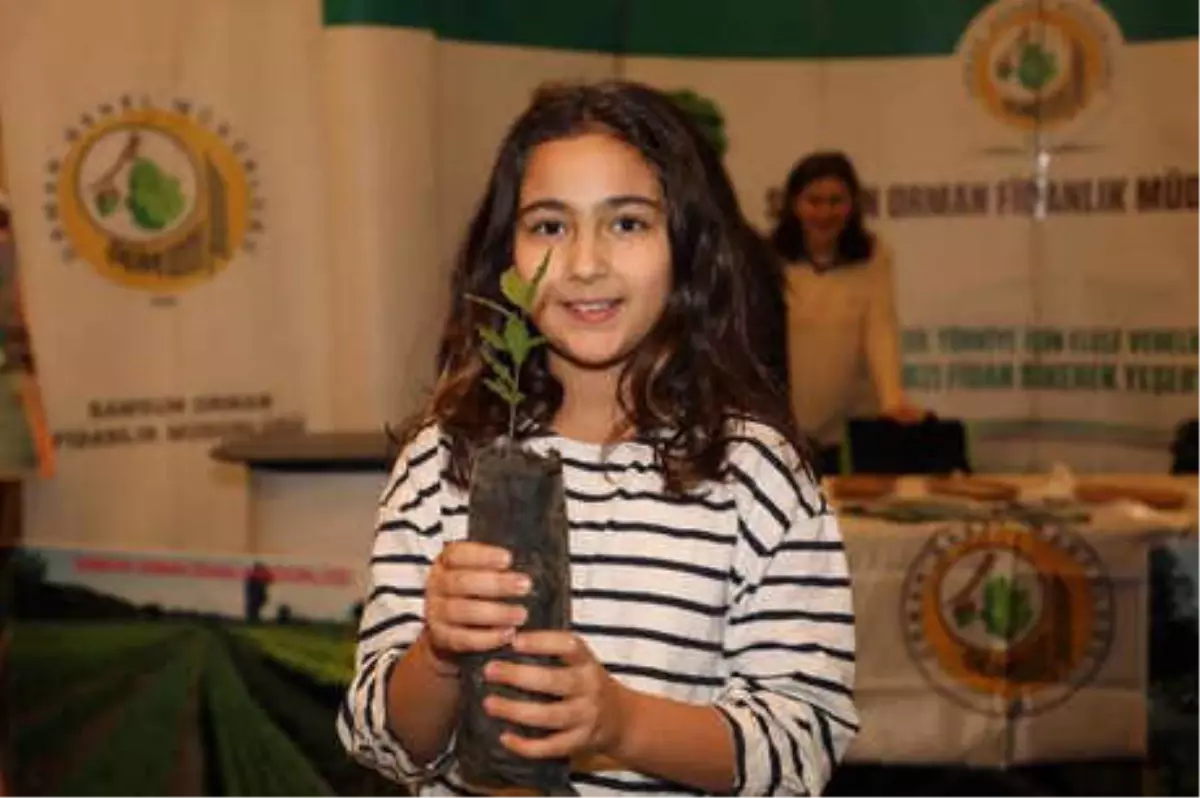 Samsunlulara 2 Bin Fidan Dağıtıldı