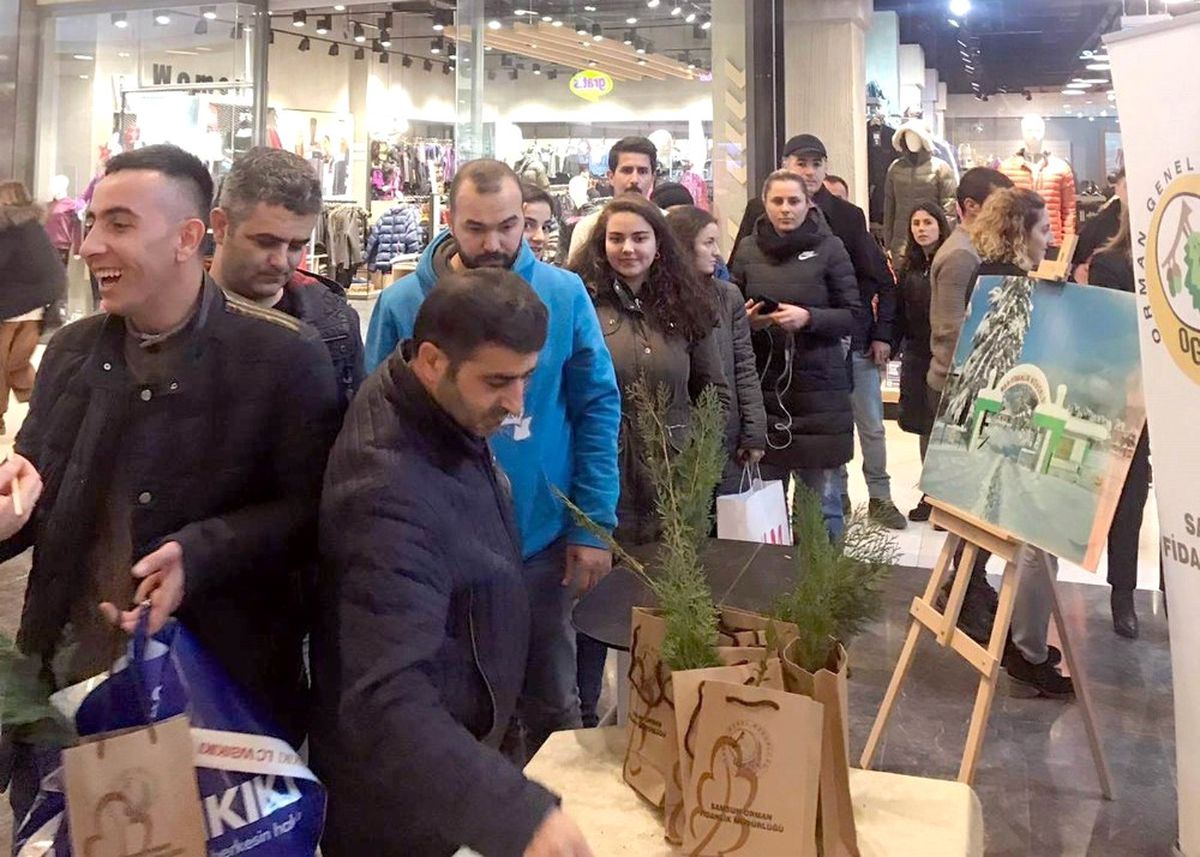 2019 Yılına Özel Olarak 2019 Adet Fidan Dağıtıldı