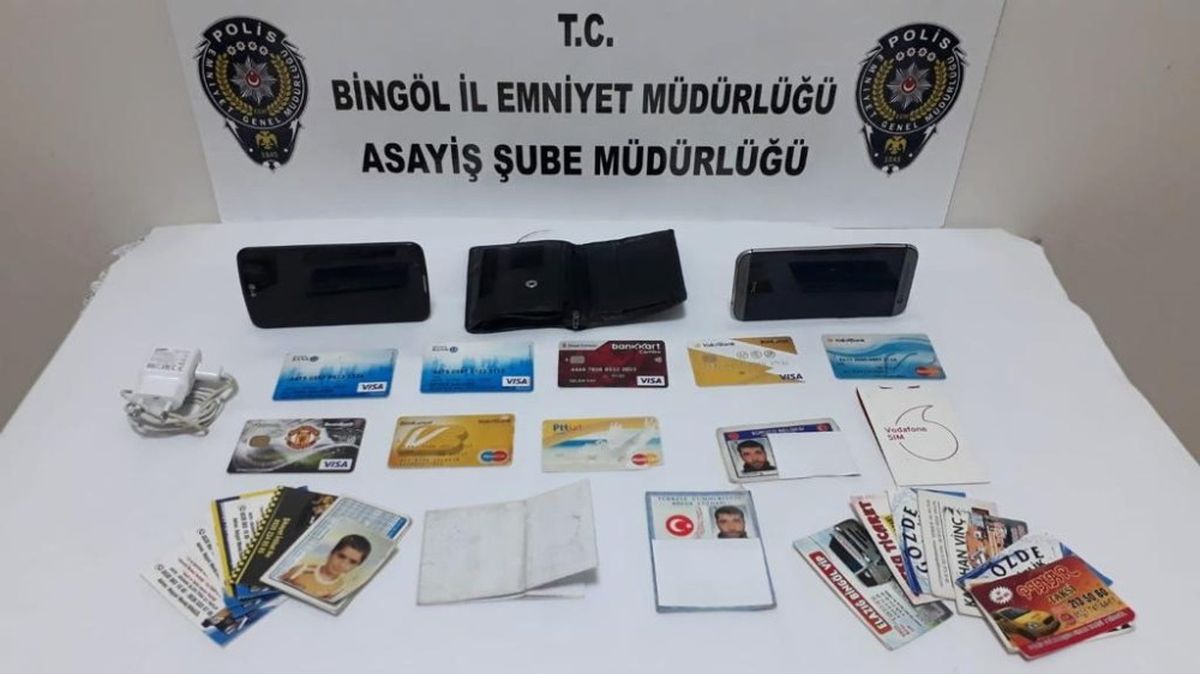Bingöl\'de Hırsızlık Operasyonları: 9 Tutuklama