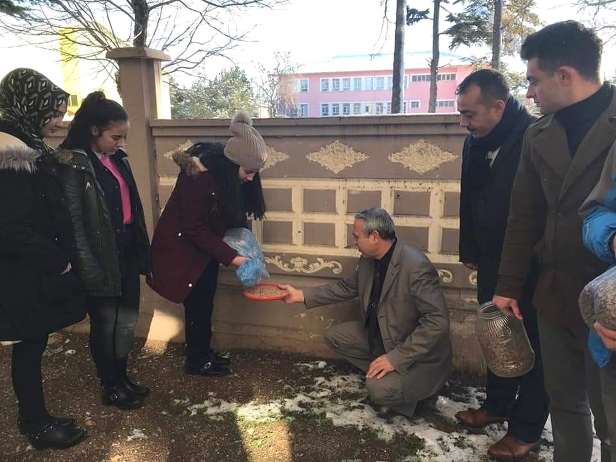 Bolvadin\'de Sokak Hayvanları İçin "Bir Avuç Mutluluk" Projesi Uygulandı
