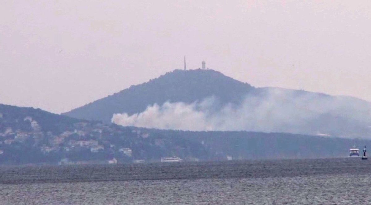 Büyükada\'da 9 At Telef Oldu