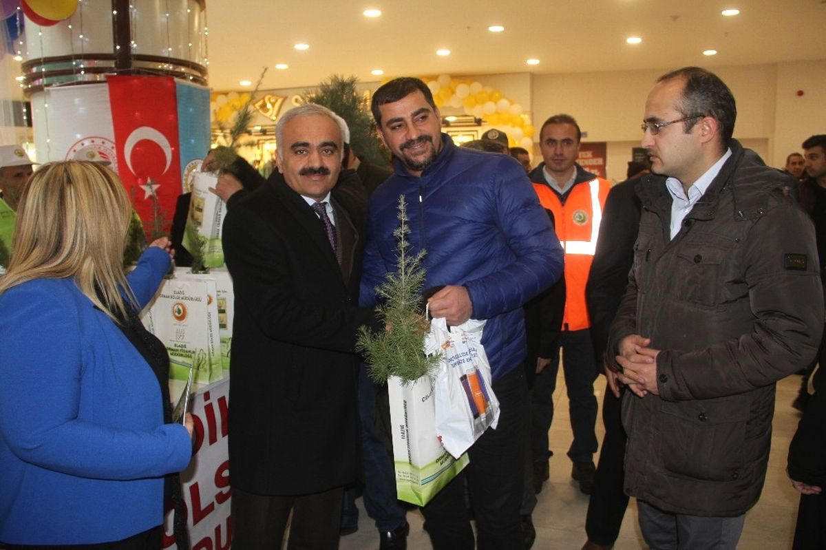Elazığ\'da 2 Bin 19 Fidan Dağıtıldı
