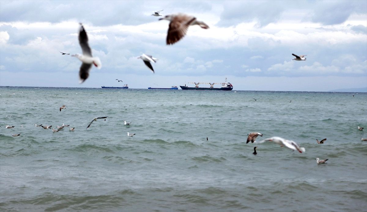 Marmara\'da Ulaşıma Poyraz Engeli
