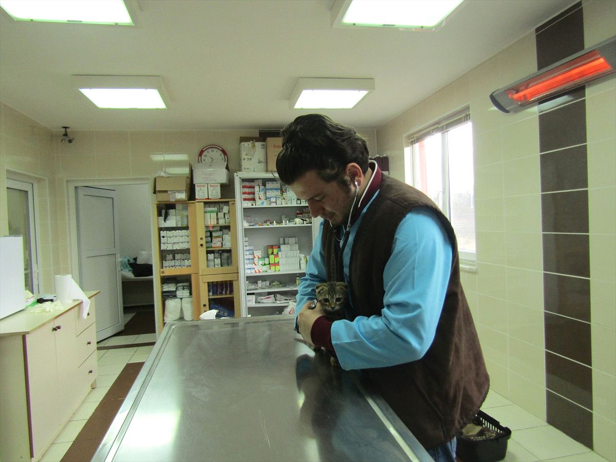 Sakarya\'da 359 Can Dostu Sahiplerine Kavuştu