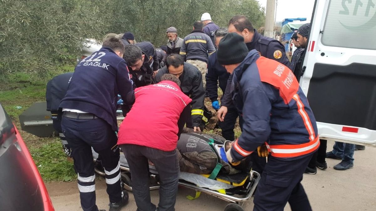 Takla Atarak Zeytinliğe Uçtu