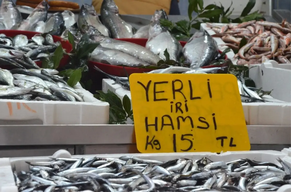 Talep Azaldı, Hamsi Fiyatı Geriledi