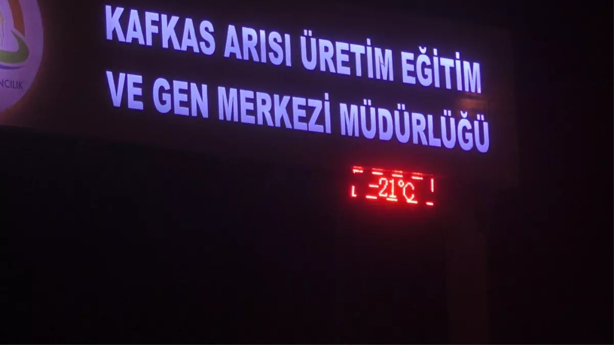 Ardahan Sibirya Gibi: Eksi 27,4