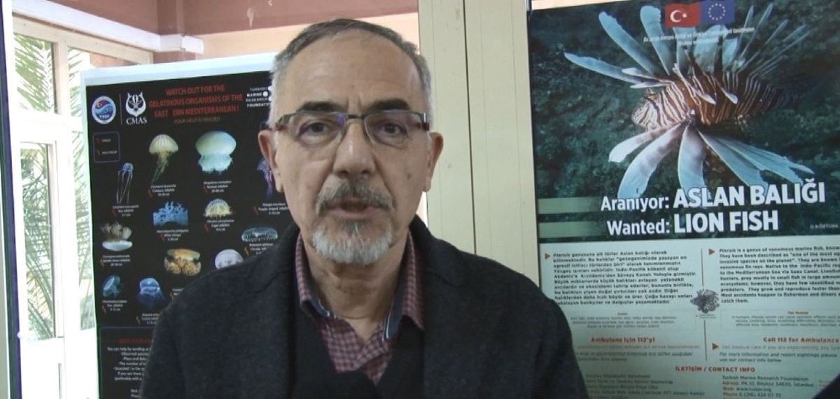 Prof. Dr. Tunçer: "Aslan Balığı Zehirlidir, İnsanı Felç Edebilir"