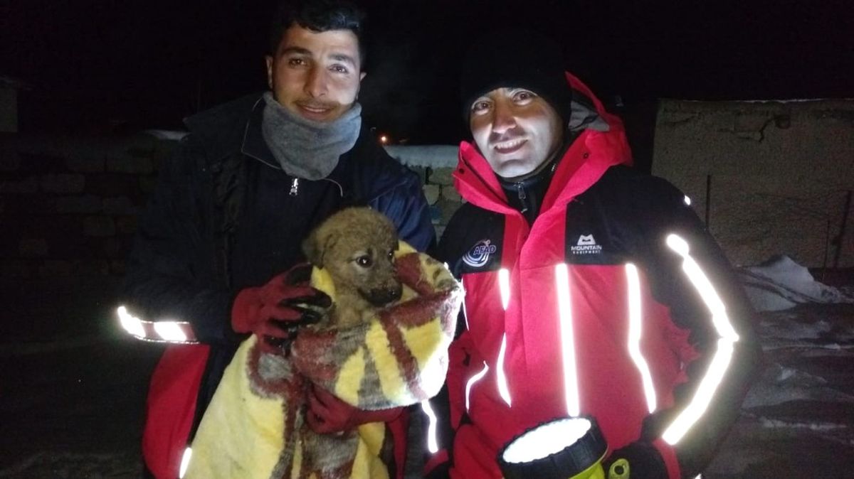 Su Kuyusuna Düşen Yavru Köpeğe Afad Şefkati