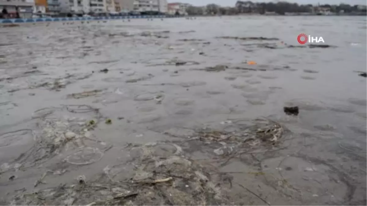 Tekirdağ\'da 20 Metre Çekilen Deniz Turuncu Olarak Geri Geldi