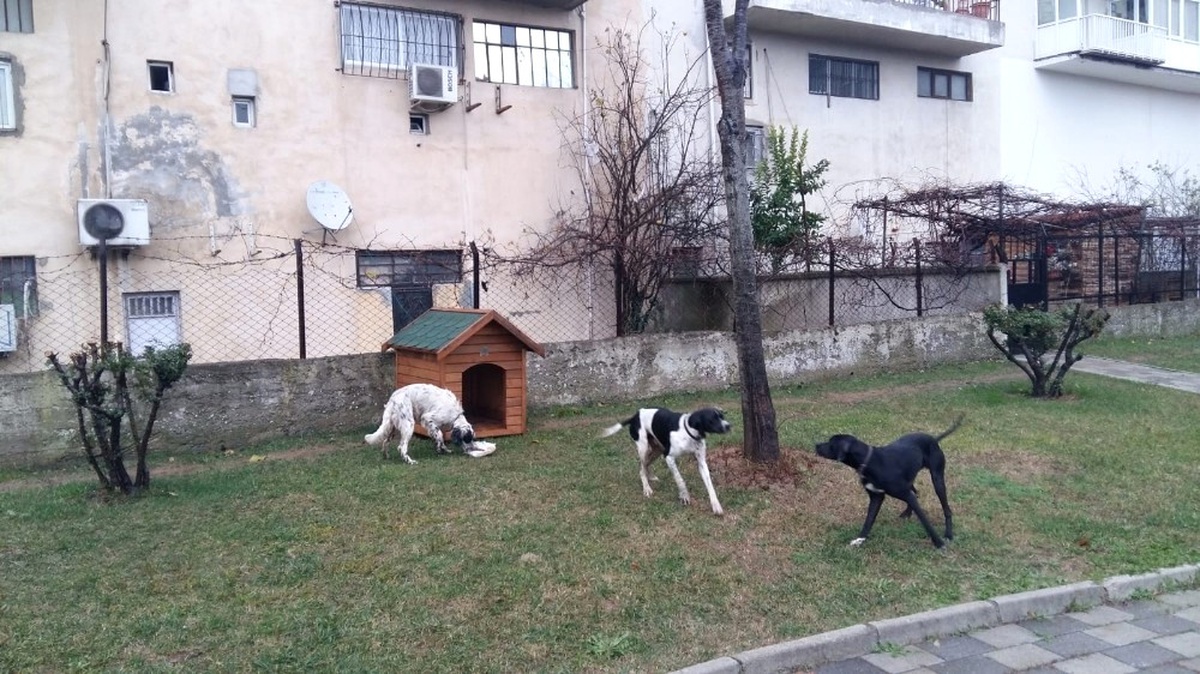 Ümraniye\'de Bu Kış Sokak Hayvanları İçin Daha Sıcak Geçecek