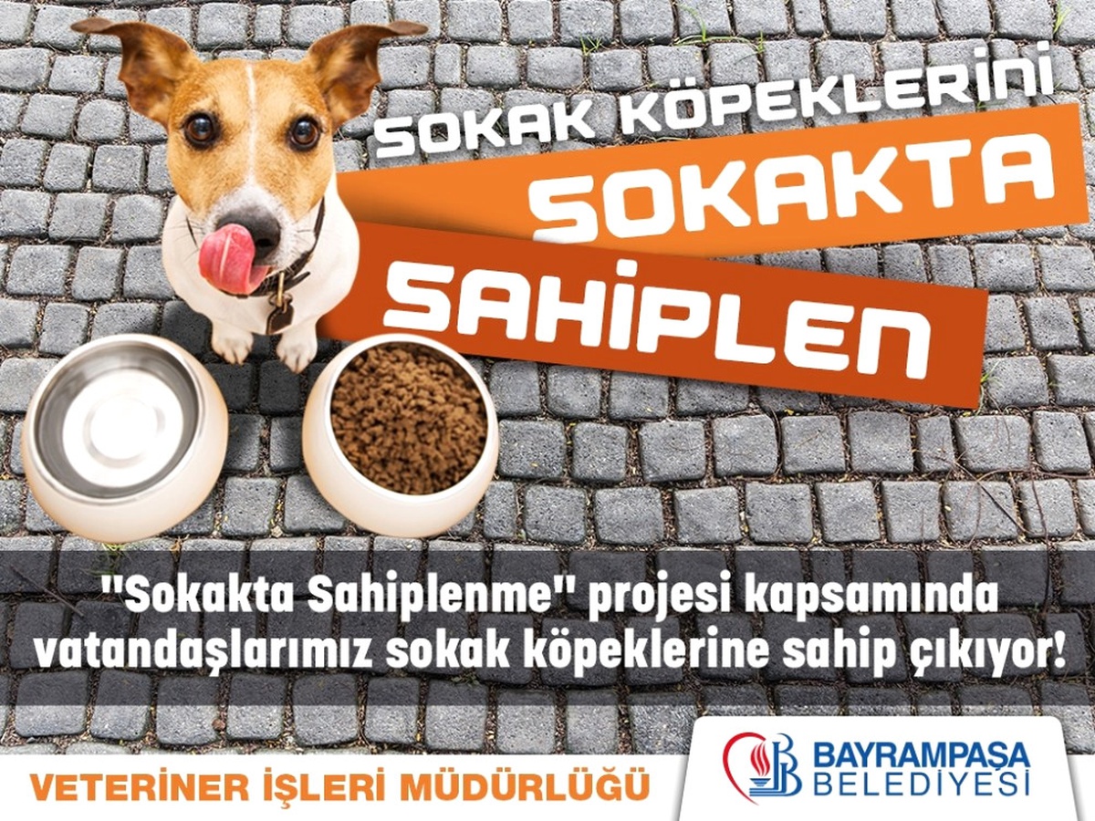 Bayrampaşa\'da Sokak Köpekleri Sahipsiz Değil