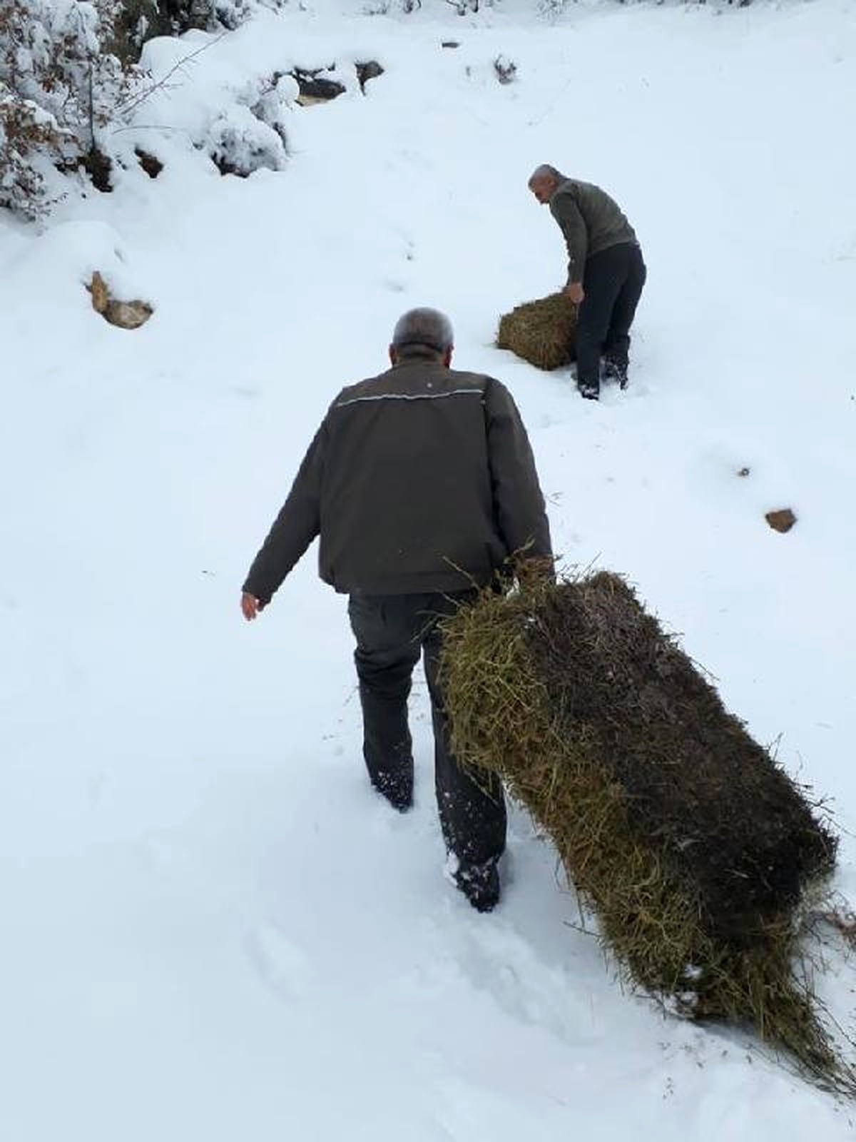 Elazığ\'da Hayvanlar İçin Doğaya 2 Ton Yem Bırakıldı