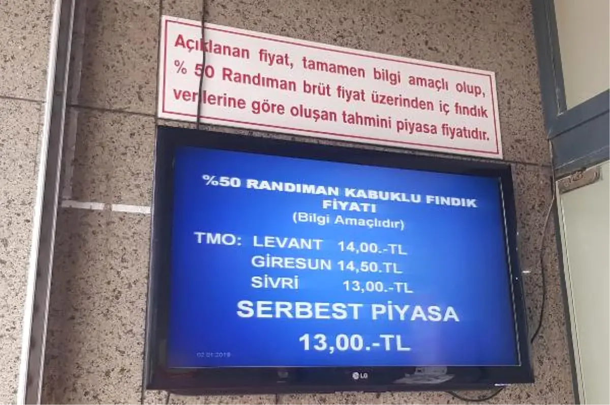 Fındık, Serbest Piyasada, TMO\'nun Gerisinde Kaldı