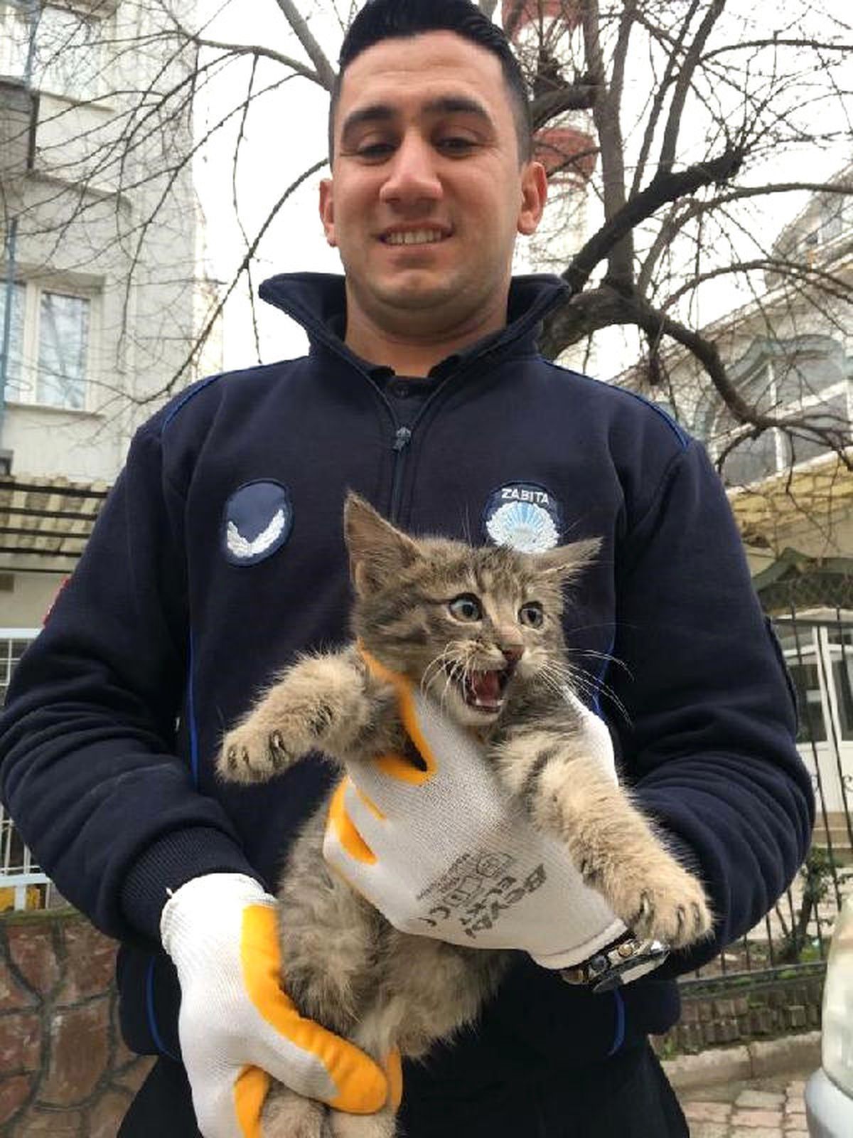 Kedi Kurtarma Seferberliği