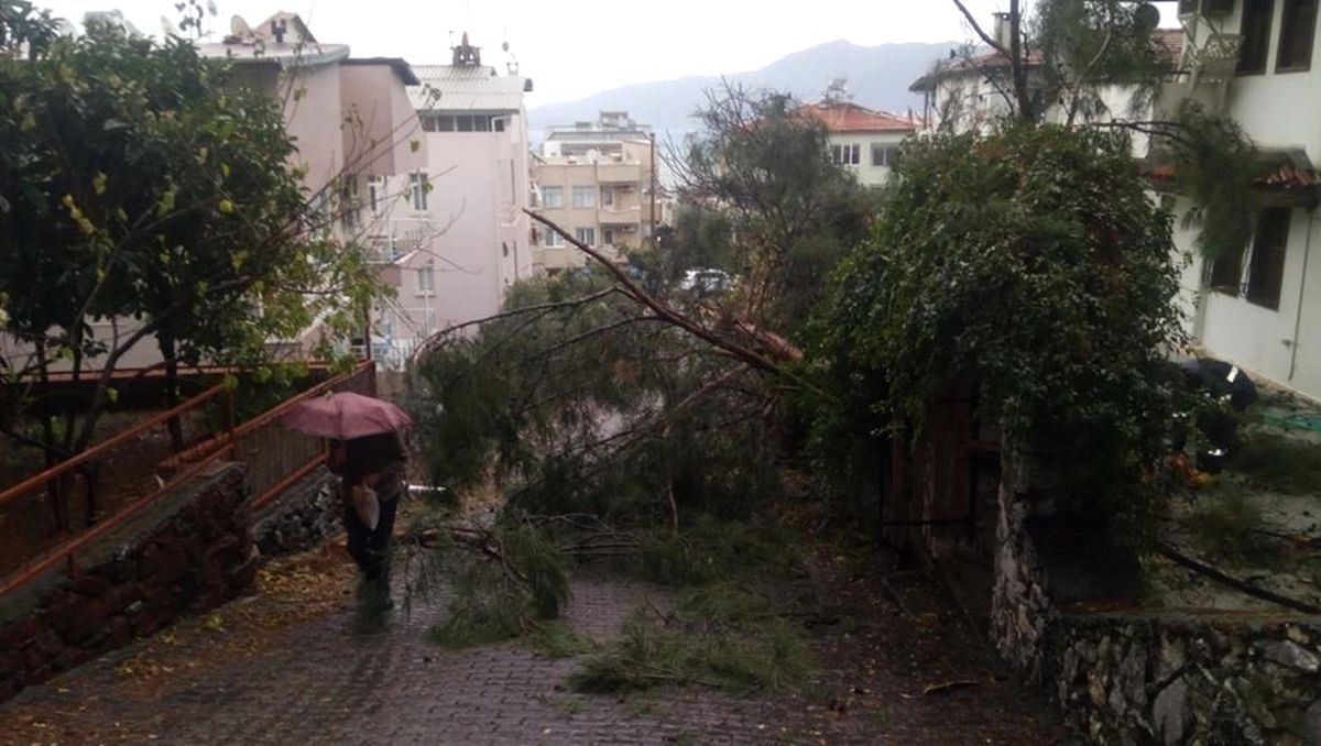 Marmaris\'te Devrilen Ağaçlara Belediye Ekipleri Müdahale Etti